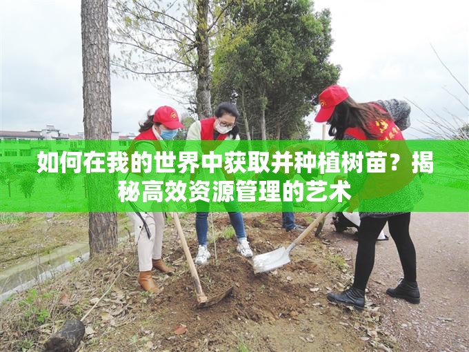 如何在我的世界中获取并种植树苗？揭秘高效资源管理的艺术