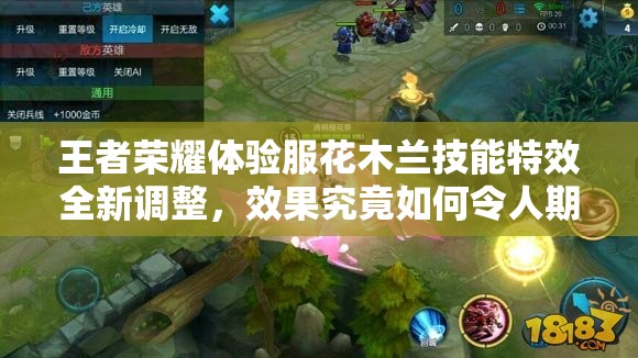 王者荣耀体验服花木兰技能特效全新调整，效果究竟如何令人期待？