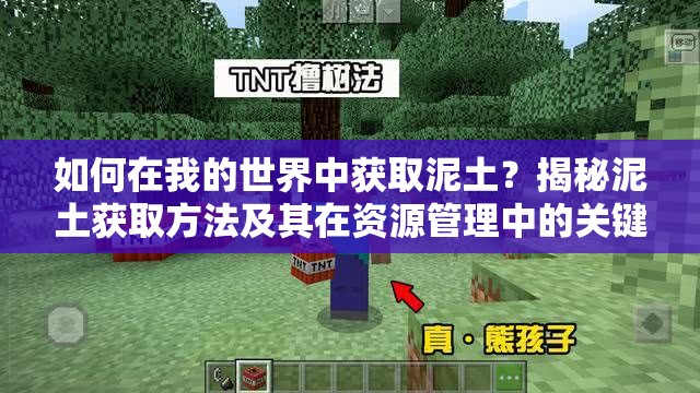 如何在我的世界中获取泥土？揭秘泥土获取方法及其在资源管理中的关键作用