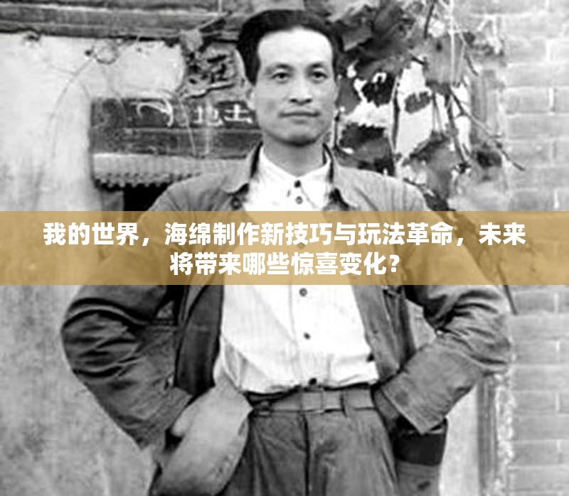 我的世界，海绵制作新技巧与玩法革命，未来将带来哪些惊喜变化？