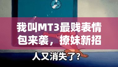 我叫MT3最贱表情包来袭，撩妹新招？揭秘资源管理高效利用策略之谜！