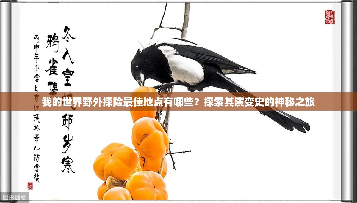 我的世界野外探险最佳地点有哪些？探索其演变史的神秘之旅