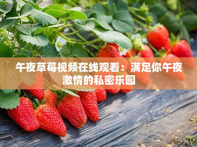 午夜草莓视频在线观看：满足你午夜激情的私密乐园