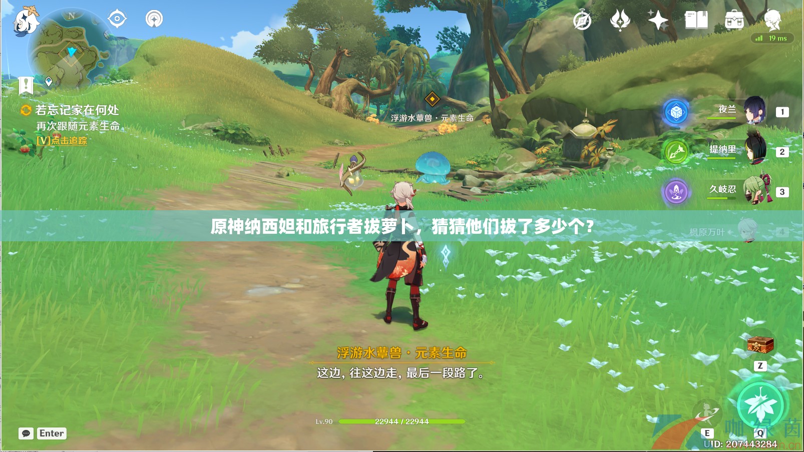 原神纳西妲和旅行者拔萝卜，猜猜他们拔了多少个？