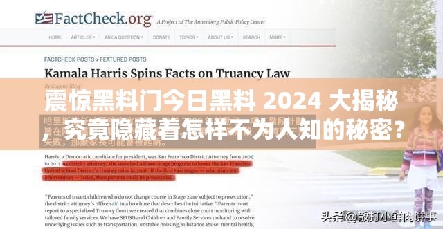震惊黑料门今日黑料 2024 大揭秘，究竟隐藏着怎样不为人知的秘密？