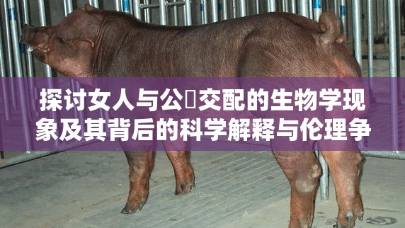 探讨女人与公豬交配的生物学现象及其背后的科学解释与伦理争议