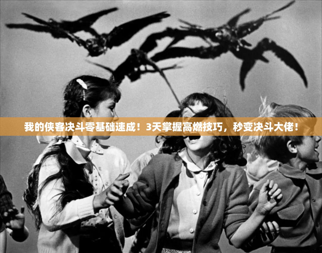 我的侠客决斗零基础速成！3天掌握高燃技巧，秒变决斗大佬！